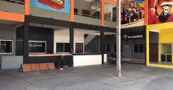 VENTA DE INVERSION INMUEBLE COMERCIAL SOBRE AVENIDA PIRAI A PRECIO DE TERRENO