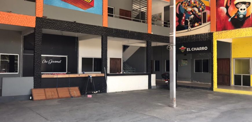 VENTA DE INVERSION INMUEBLE COMERCIAL SOBRE AVENIDA PIRAI A PRECIO DE TERRENO